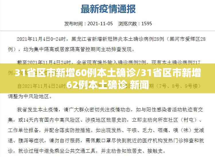 31省区市新增60例本土确诊/31省区市新增62例本土确诊 新闻