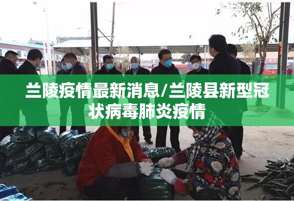 兰陵疫情最新消息/兰陵县新型冠状病毒肺炎疫情