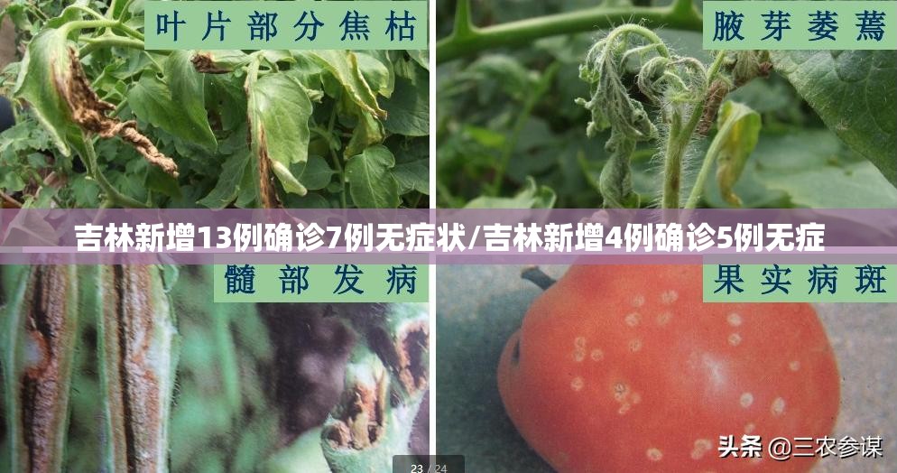 吉林新增13例确诊7例无症状/吉林新增4例确诊5例无症