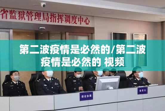 第二波疫情是必然的/第二波疫情是必然的 视频