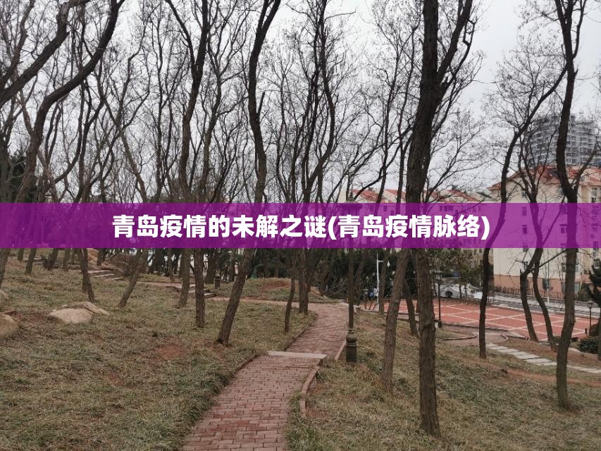 青岛疫情的未解之谜(青岛疫情脉络)