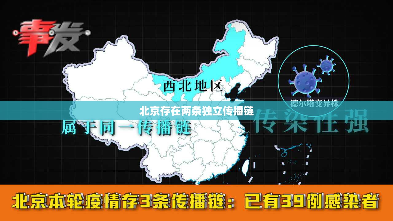 北京存在两条独立传播链
