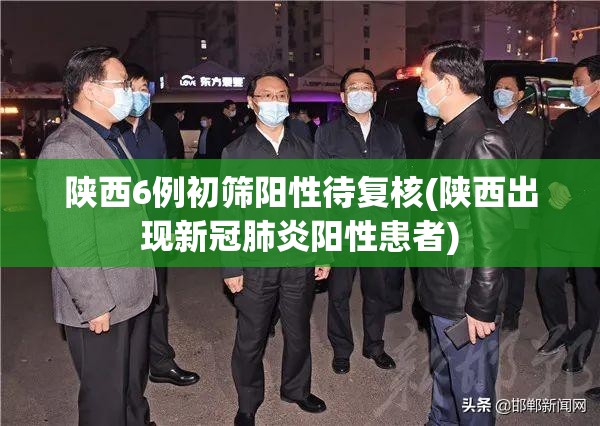 陕西6例初筛阳性待复核(陕西出现新冠肺炎阳性患者)