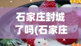 石家庄封城了吗(石家庄封城封了几天)
