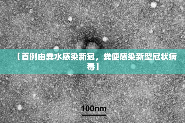 【首例由粪水感染新冠，粪便感染新型冠状病毒】