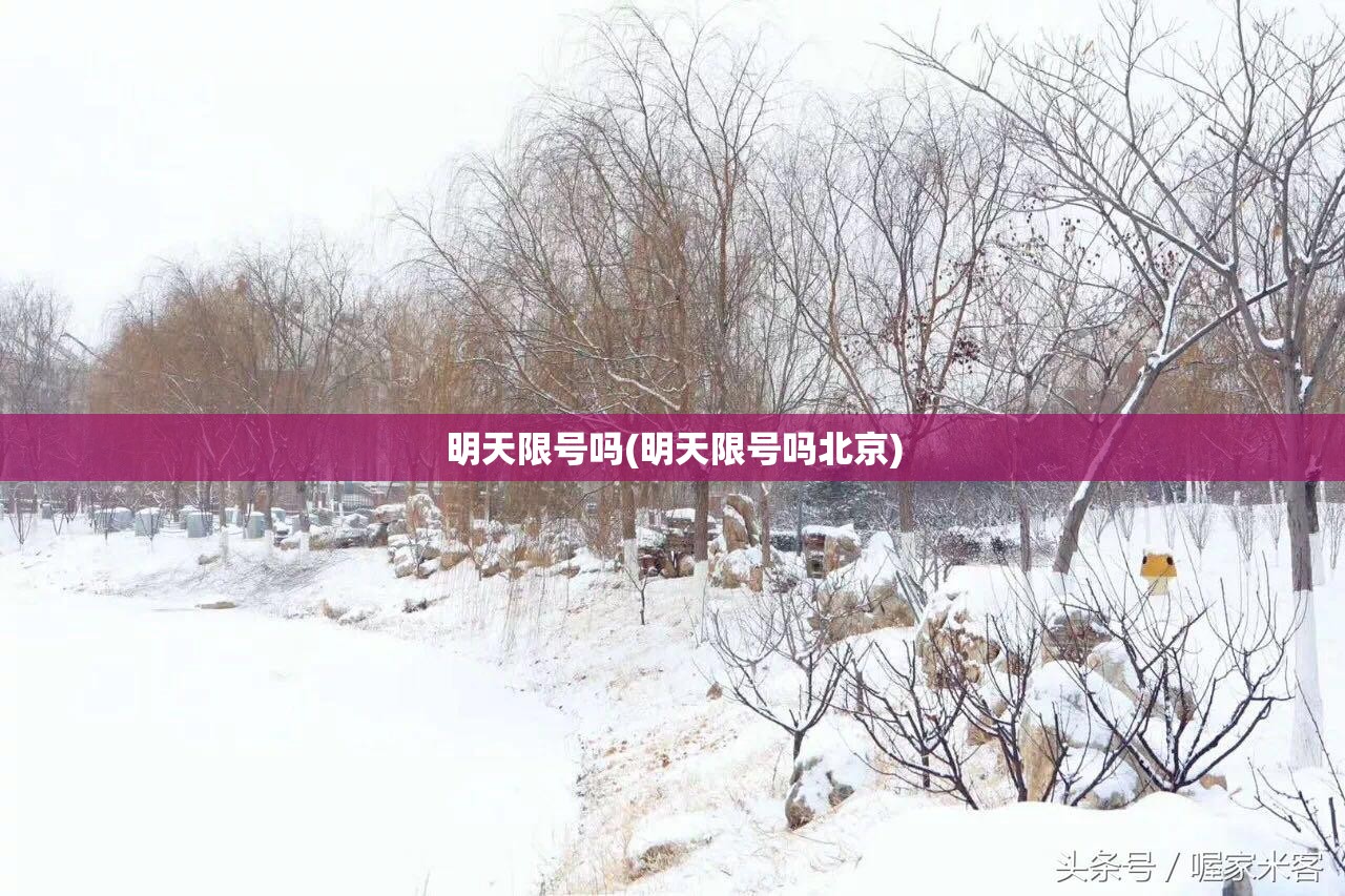 明天限号吗(明天限号吗北京)