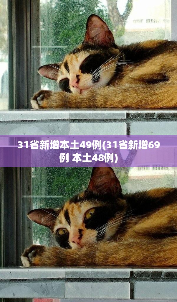 31省新增本土49例(31省新增69例 本土48例)