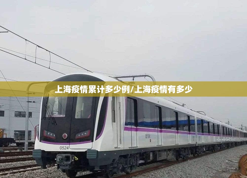 上海疫情累计多少例/上海疫情有多少