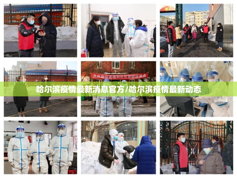哈尔滨疫情最新消息官方/哈尔滨疫情最新动态