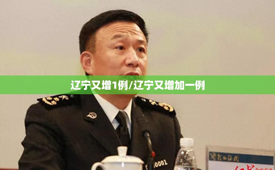 辽宁又增1例/辽宁又增加一例