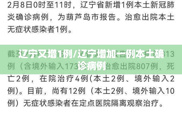辽宁又增1例/辽宁增加一例本土确诊病例