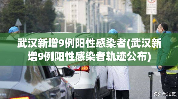 武汉新增9例阳性感染者(武汉新增9例阳性感染者轨迹公布)